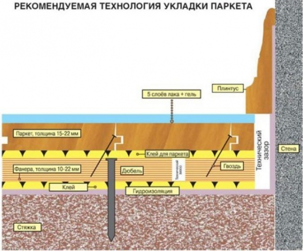 Как правильно класть паркет в квартире Как правильно класть паркет в квартире