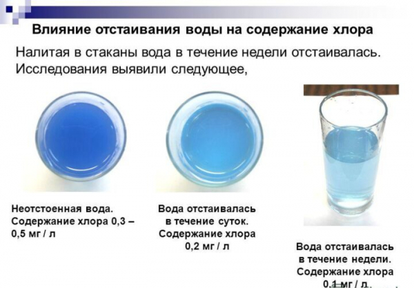 10 советов, какую воду для полива комнатных цветов использовать 10 советов, какую воду для полива комнатных цветов использовать